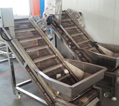 �Vɽ���������C